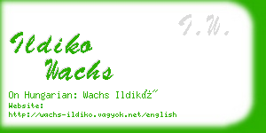ildiko wachs business card